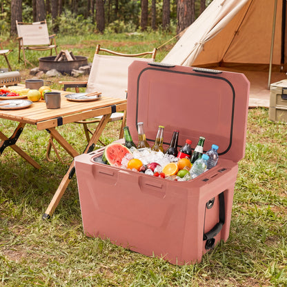 Insulated Portable Cooler Hard Shell Ice Chest, Pink Coolers at Gallery Canada