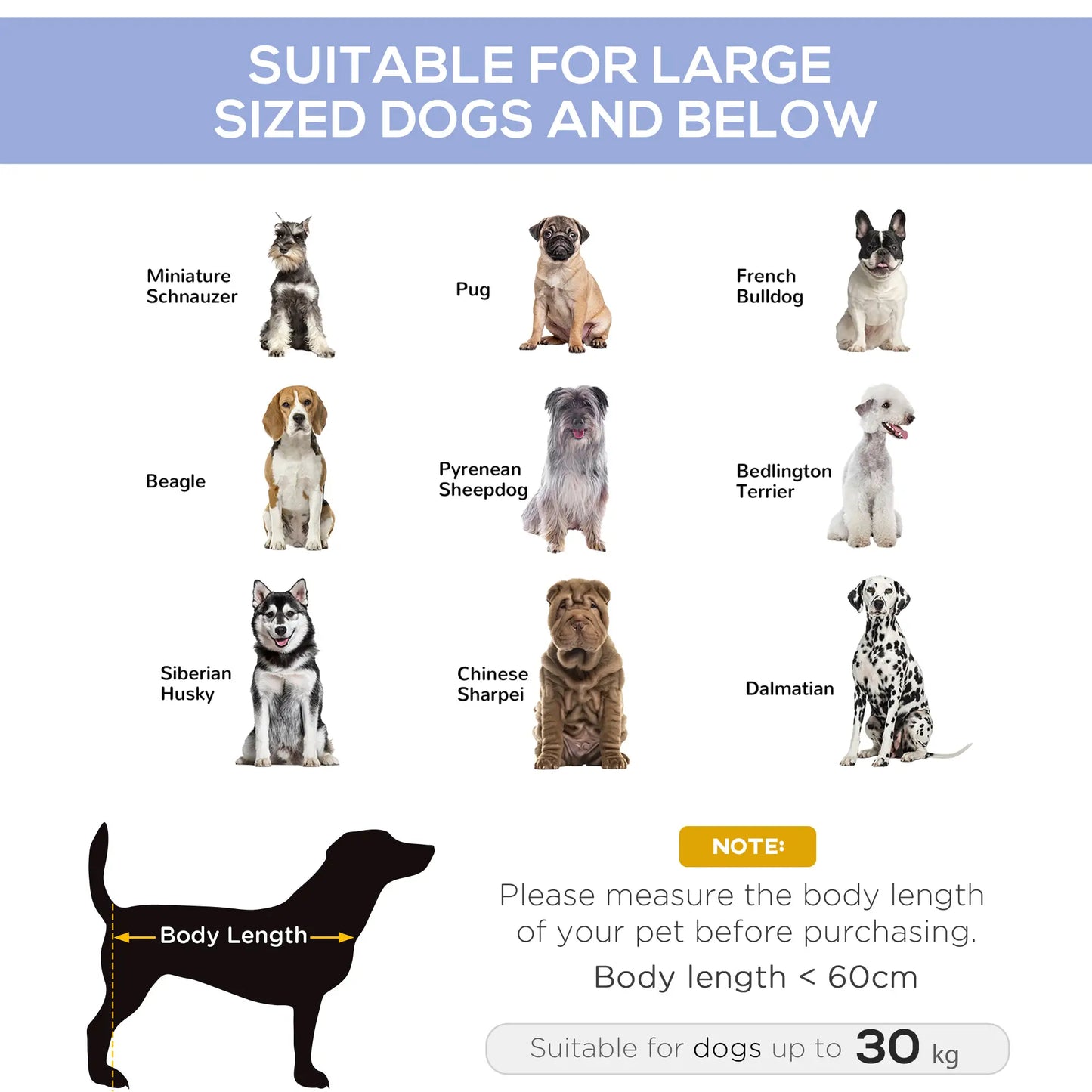 Elevated Dog Bed, XL Dog Cot, 36" x 30" x 7", Blue Elevated Dog Beds at Gallery Canada