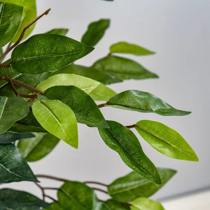 5FT Artificial Ficus Tree, Fake Plant in Nursery Pot, Indoor Decor Artificial Trees at Gallery Canada