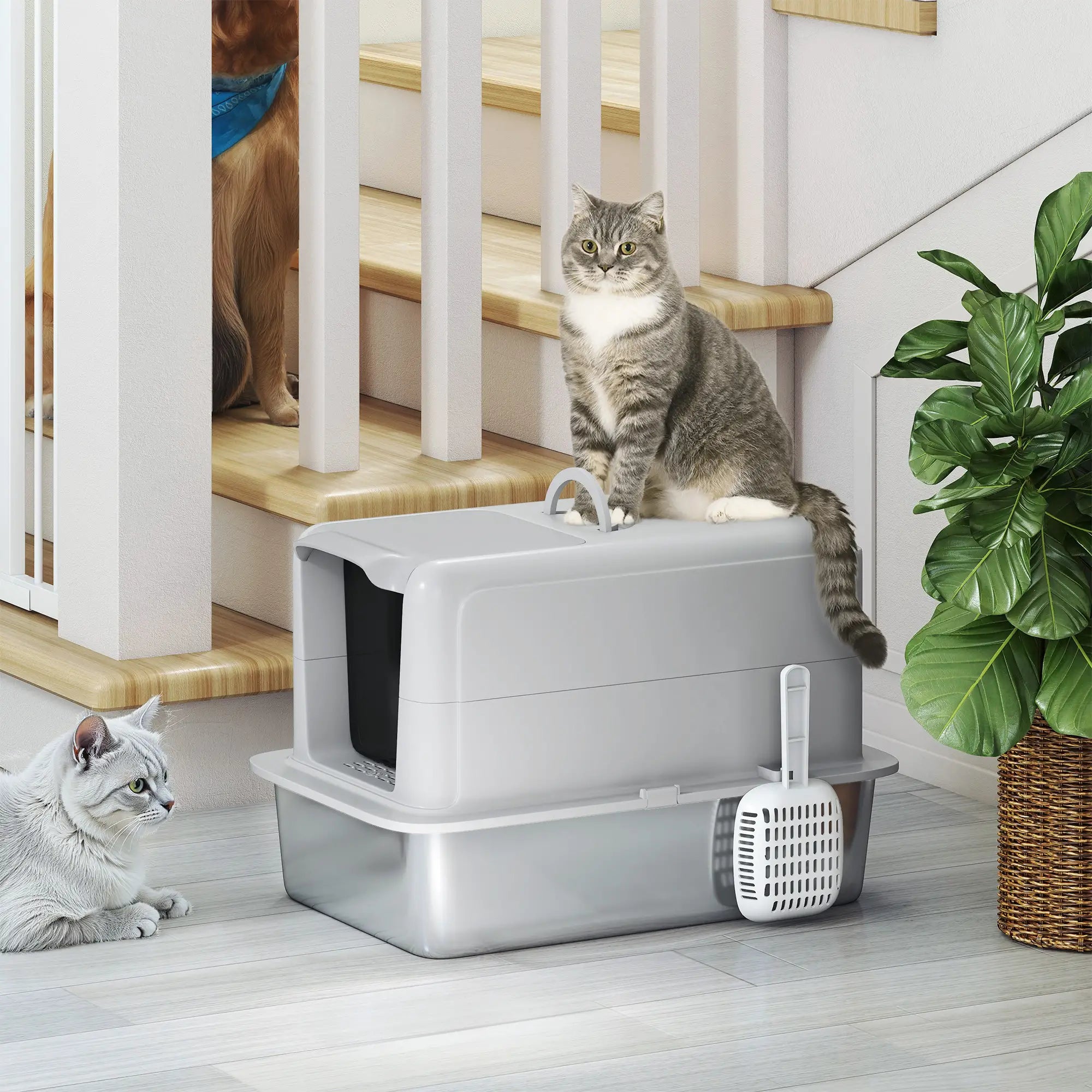 Stainless Steel Cat Litter Box, Removable Lid & Scoop, Grey Cat Litter Box Enclosures at Gallery Canada