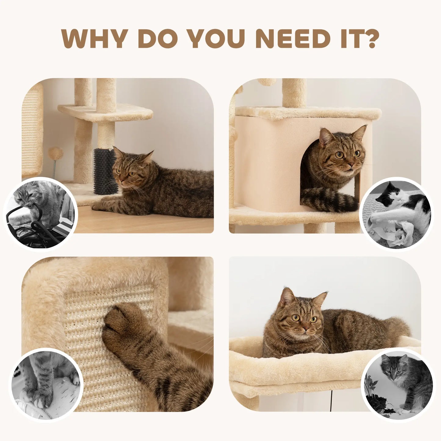 41 Inch Cat Tree, Scratching Posts, Bed, Condo, Grooming Brush, Platforms, Toys Cat Towers at Gallery Canada