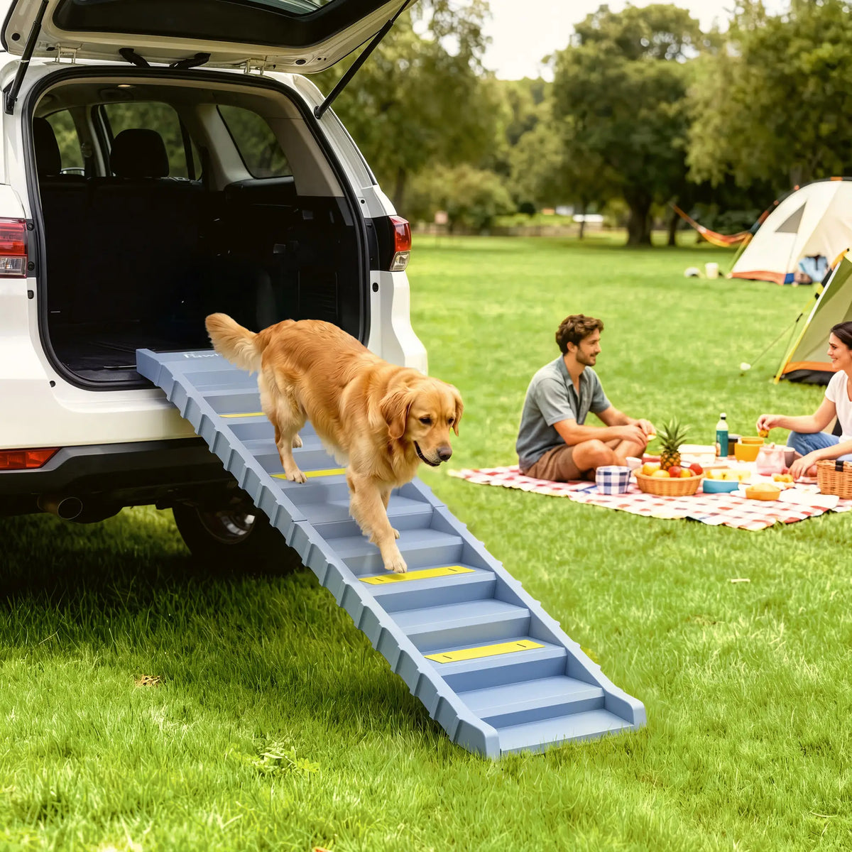 Foldable Dog Ramp With Anti-Slip Steps, Grey Dog Stairs at Gallery Canada
