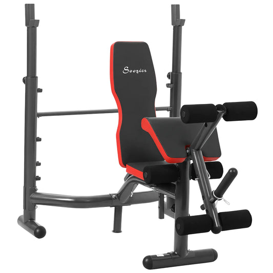 Heavy Duty Adjustable Workout Bench, Preacher Curl, Leg Developer Weight Benches Silver, Red at Gallery Canada