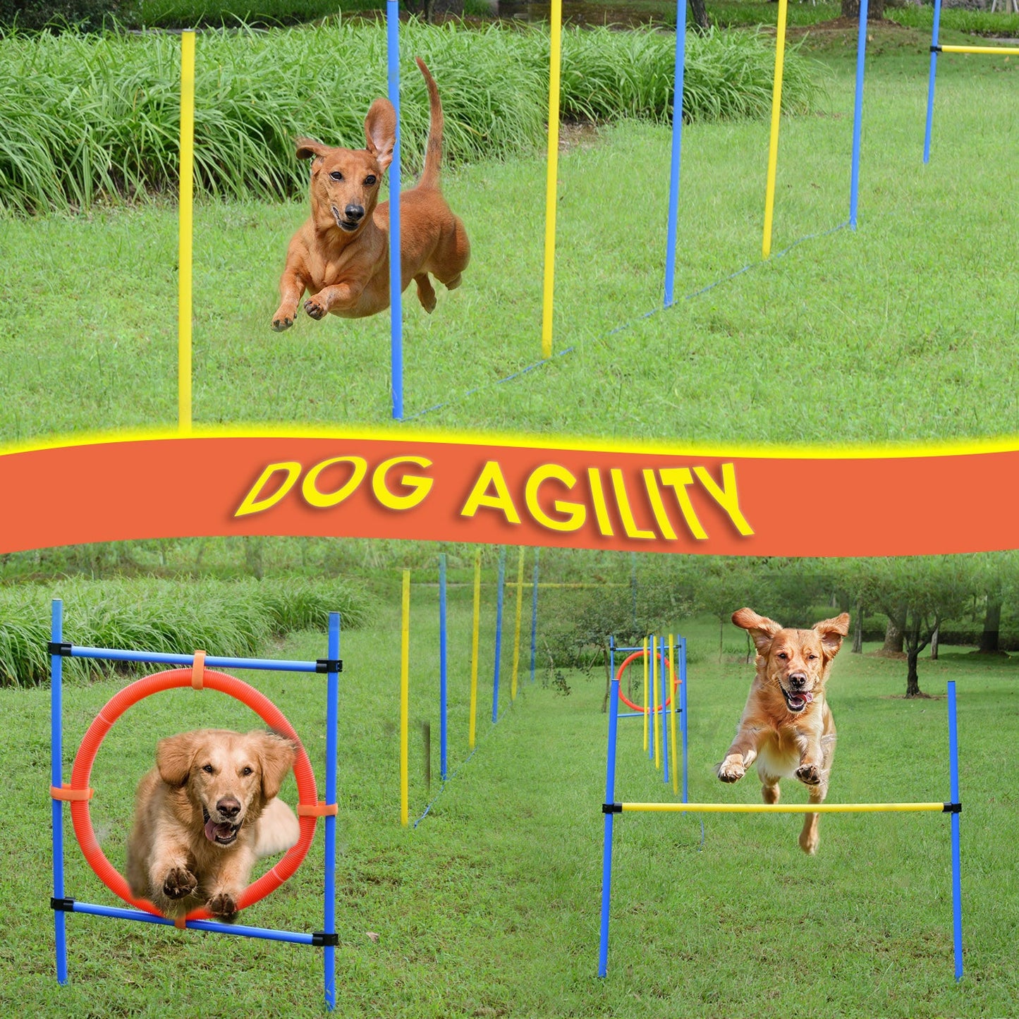 Dog Pet Obstacle Agility Training Kit High Jump Weave Pole Ring Obedience Equipment Portable at Gallery Canada
