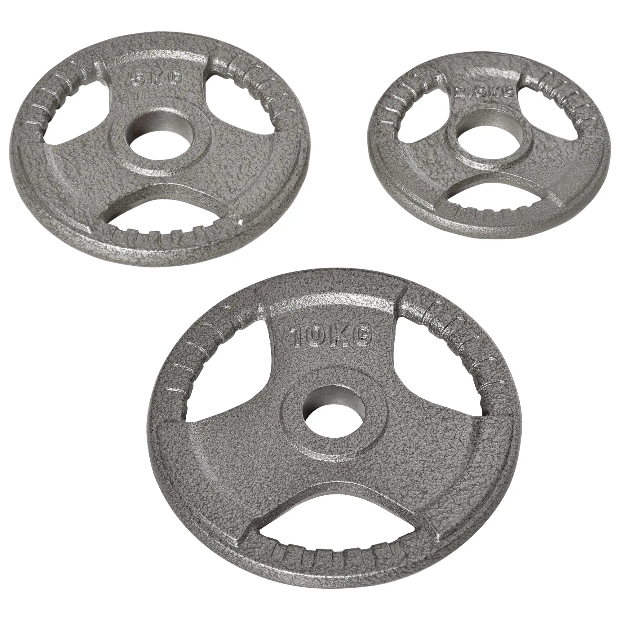 6 PCS Weight Plates, Grip Plate Set, Strength Training, 77 Lbs Dumbbells & Barbells at Gallery Canada