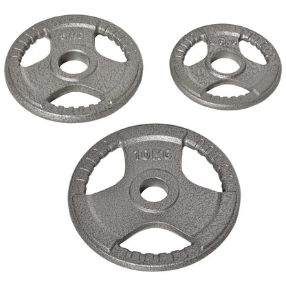 6 PCS Weight Plates, Grip Plate Set, Strength Training, 77 Lbs Dumbbells & Barbells at Gallery Canada