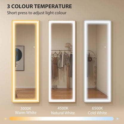 LED Mirror with Dimmable 3 Color Lights, 64" x 21", Gold Full Length Mirrors at Gallery Canada