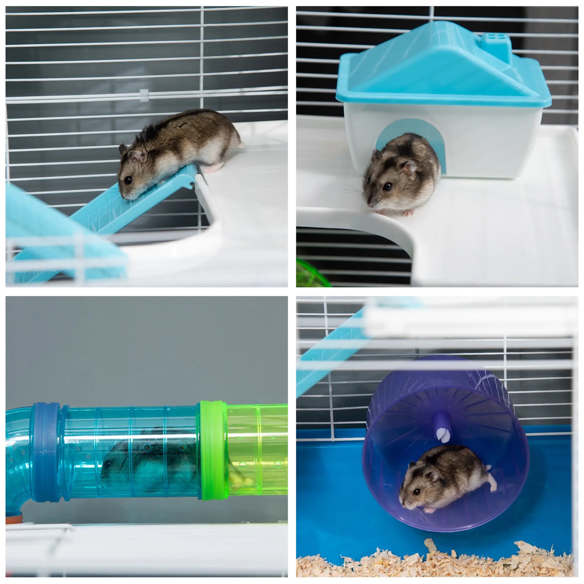 23" Large Hamster Cage, 5-Level with Tunnel Tube, Blue Hamster Cages at Gallery Canada