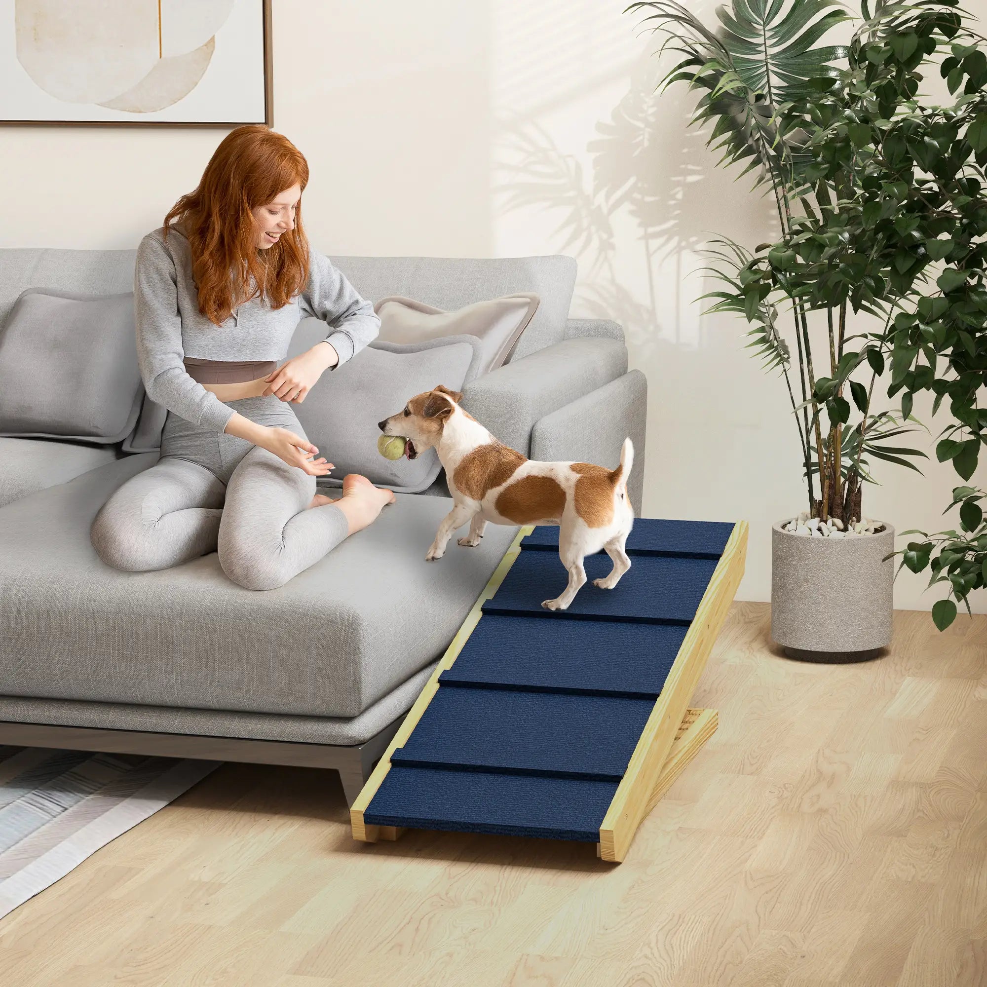 Adjustable Dog Ramp for Bed, Sofa, Non-Slip Surface, Folding Stairs Dog Stairs at Gallery Canada