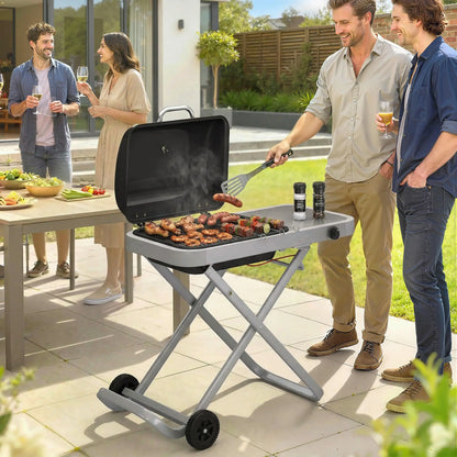 Portable Propane BBQ Grill, Foldable Cart, 9500 BTU, Black Propane Gas Grills at Gallery Canada