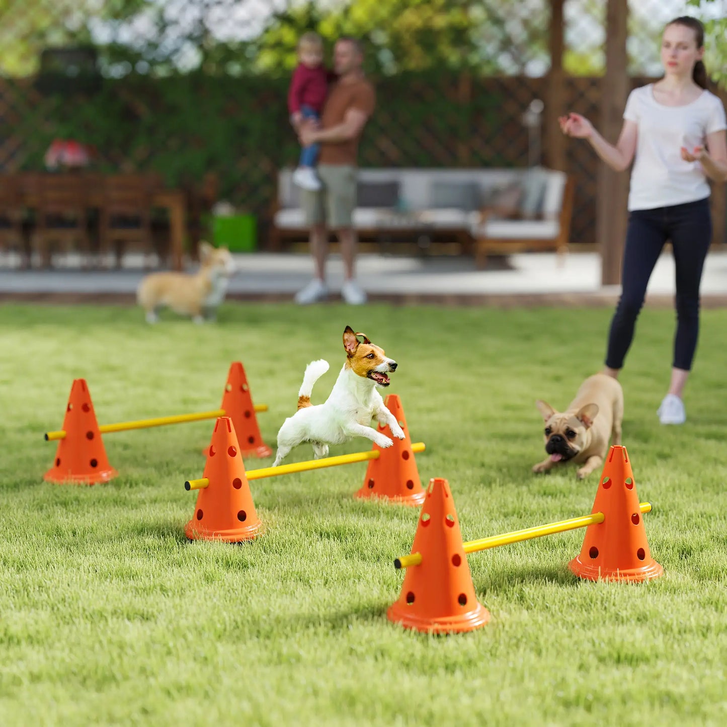 Dog Agility Hurdle Set, 6 Cones & Poles, Orange Dog Agility Training Equipment at Gallery Canada