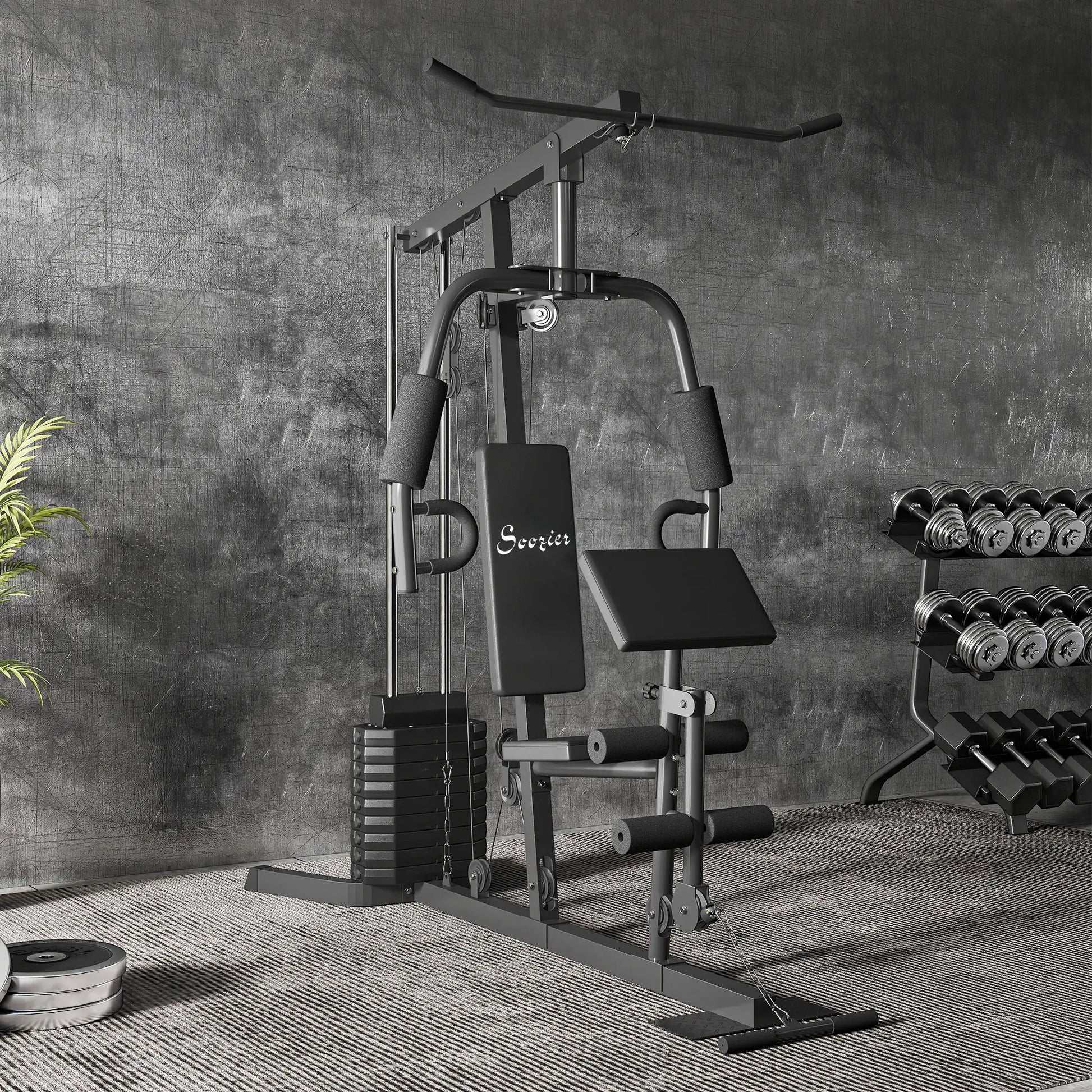 Multi-Exercise Home Gym Station with 99lbs Weight Stack, for Full Body Workout Power Towers at Gallery Canada