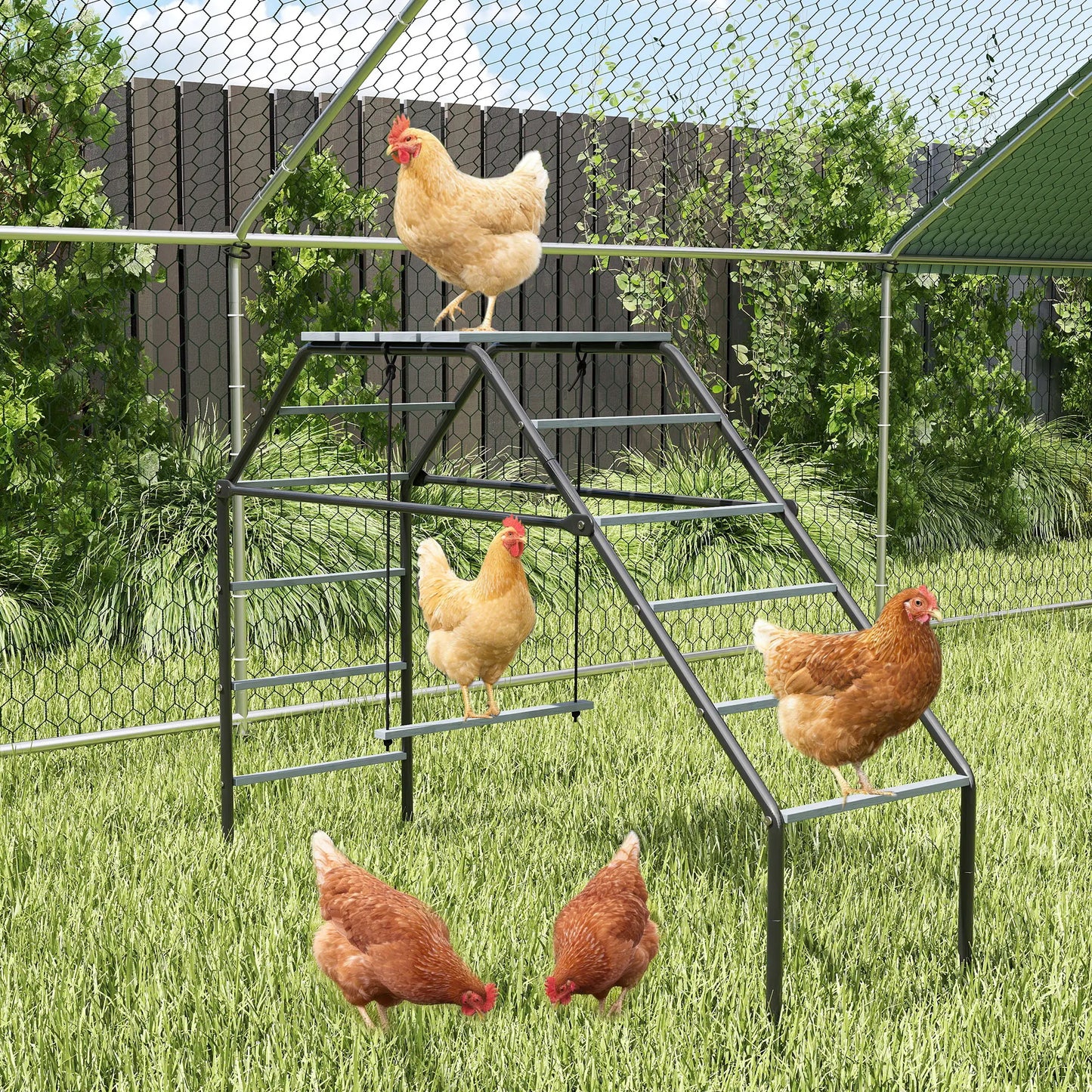 Chicken Coop Perches With Swing, Backyard Farm Accessories Chicken Coops at Gallery Canada