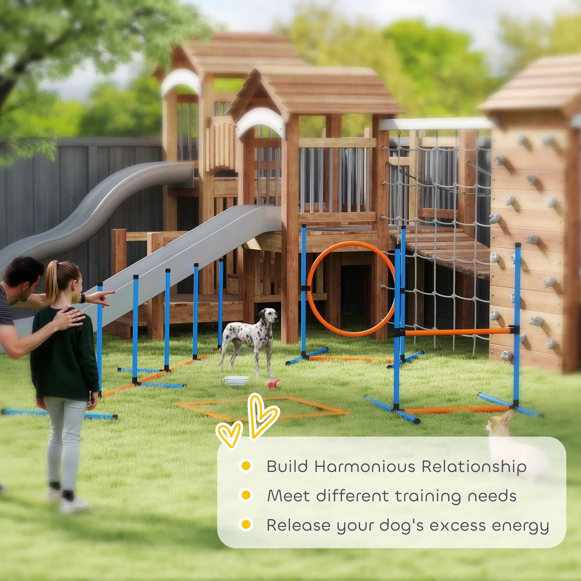 Dog Agility Training Equipment, 5PCS Obstacle Course Starter Kit With Bag Dog Agility Training Equipment at Gallery Canada