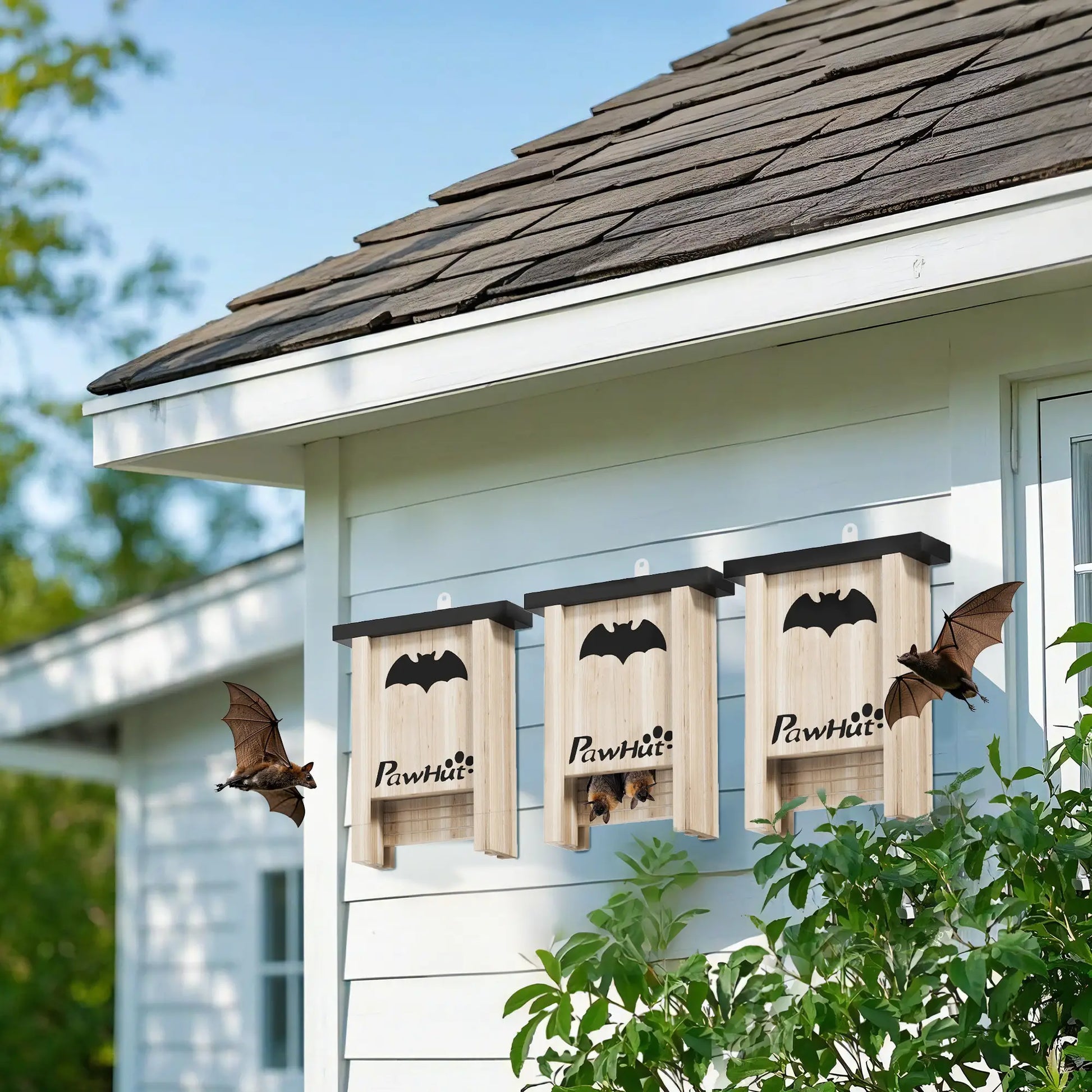 Wooden Bat Boxes, 18 x 6 x 22.5 cm, Attract Bats, Easy Hang Houses & Habitats at Gallery Canada