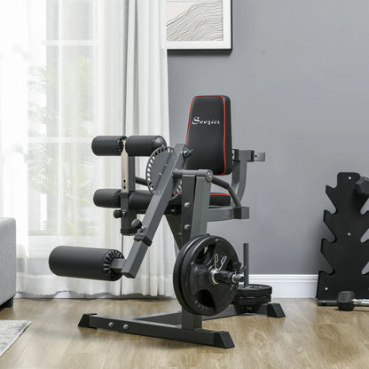 Leg Extension Machine Adjustable Leg Extension and Curl Machine with Plate Loaded for Leg Extension Strength Training Equipment at Gallery Canada