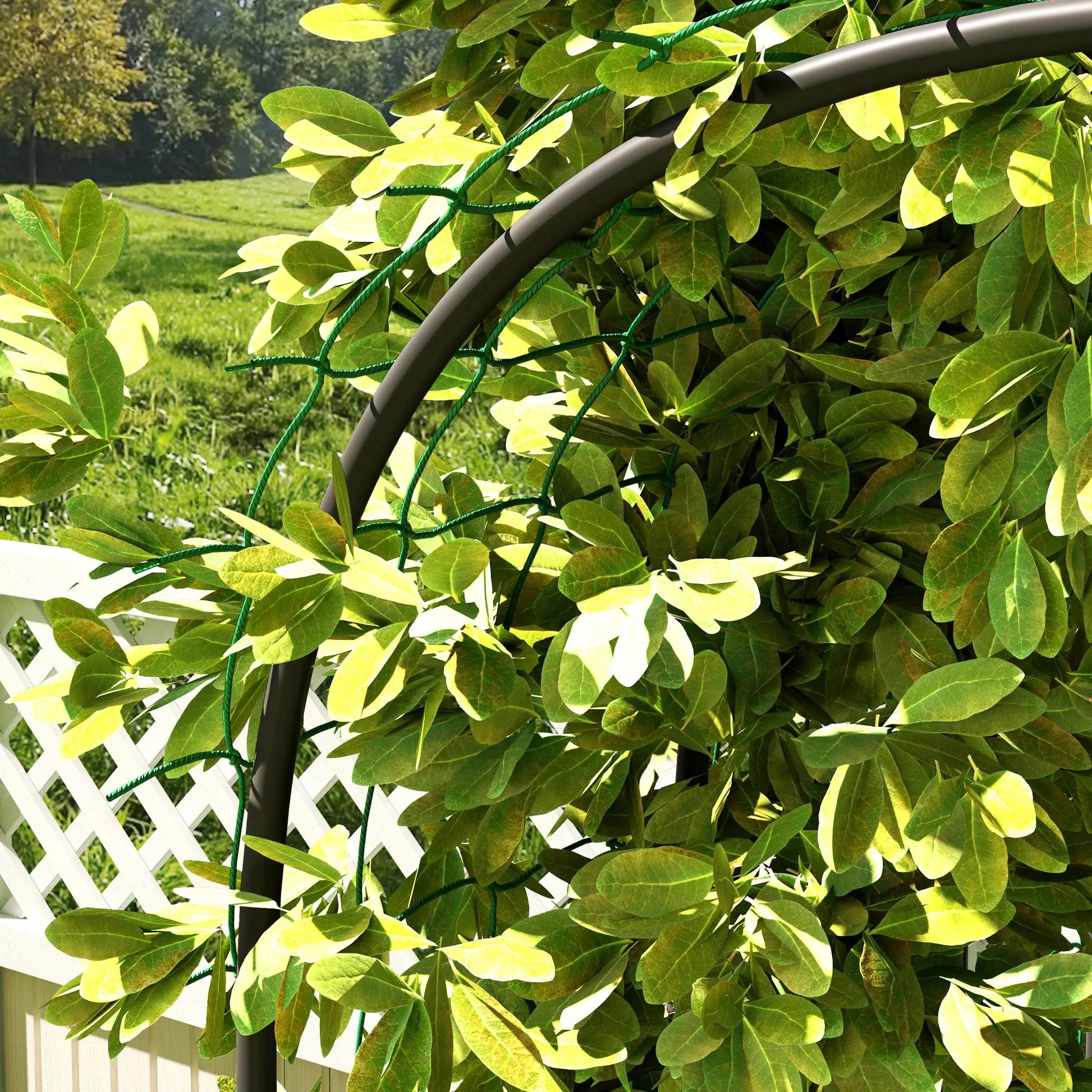 Arched Garden Trellis, 8 FT Tall Metal Plant Support with Netting Plant Stands at Gallery Canada