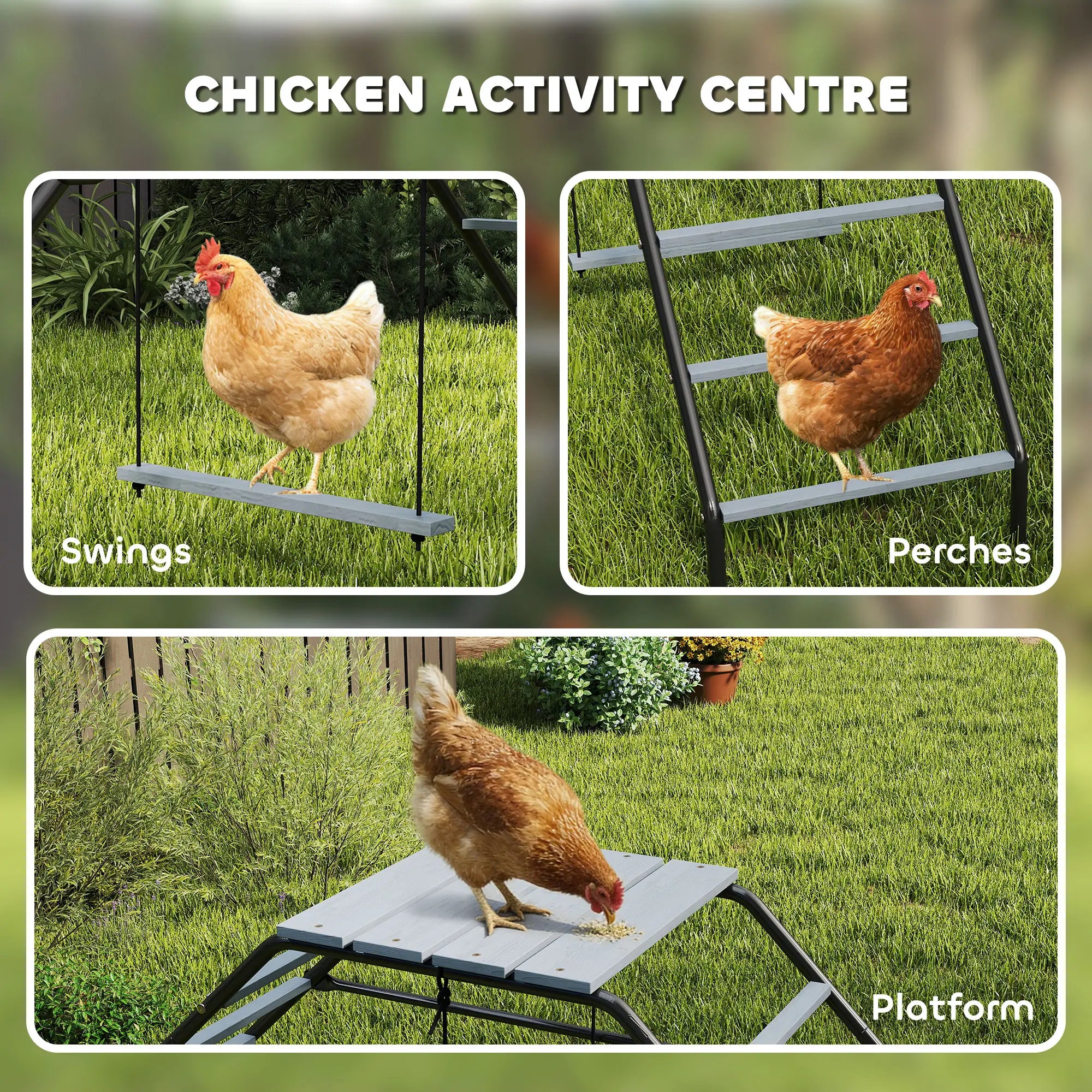 Chicken Coop Perches With Swing, Backyard Farm Accessories Chicken Coops at Gallery Canada
