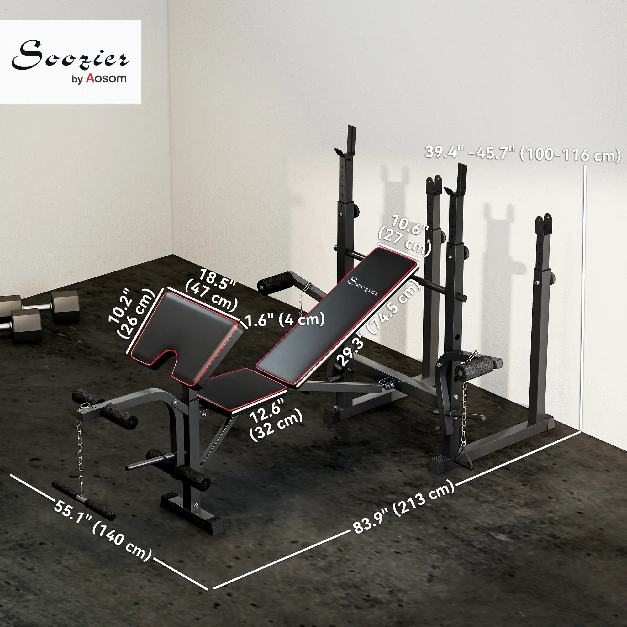 Weight Bench with Barbell Rack, Preacher Curl, Leg Curl Machine Weight Benches at Gallery Canada