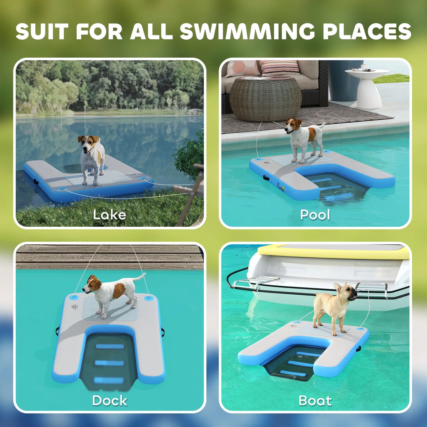 Floating Boat Ramp, Pets Up to 200 lbs, for Pool, Lake, Boat, Dock Dog Stairs at Gallery Canada