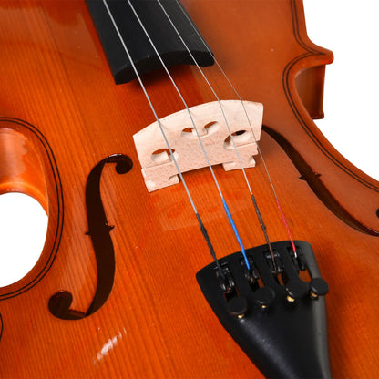 4/4 Violin, Maple Wood, Full Accessories Set, Storage Box, Orange Electronic Musical Pianos at Gallery Canada