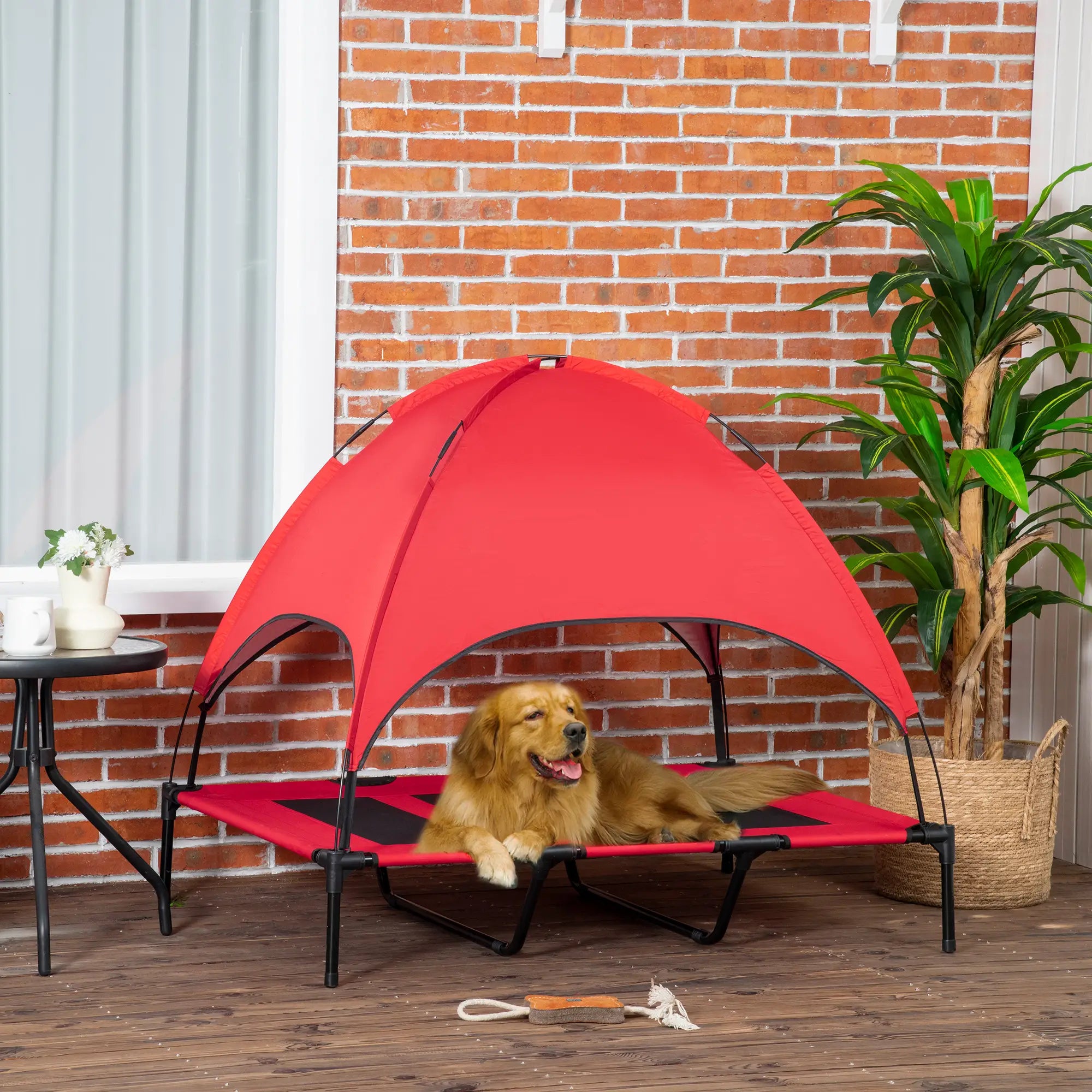 Elevated Pet Bed, Dog Cot, Portable Outdoor Indoor, Red Elevated Dog Beds at Gallery Canada