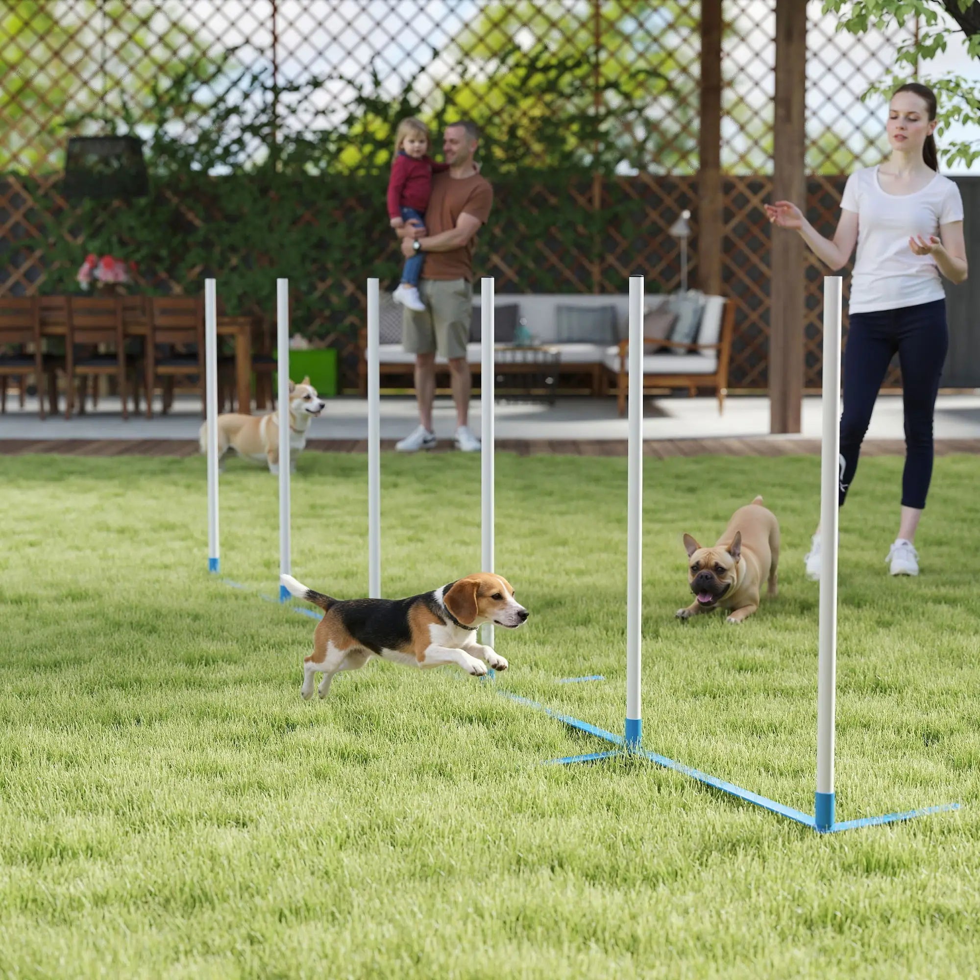 Adjustable Dog Agility Training Set, Weave Poles, Storage Bag, Blue and White Dog Agility Training Equipment at Gallery Canada
