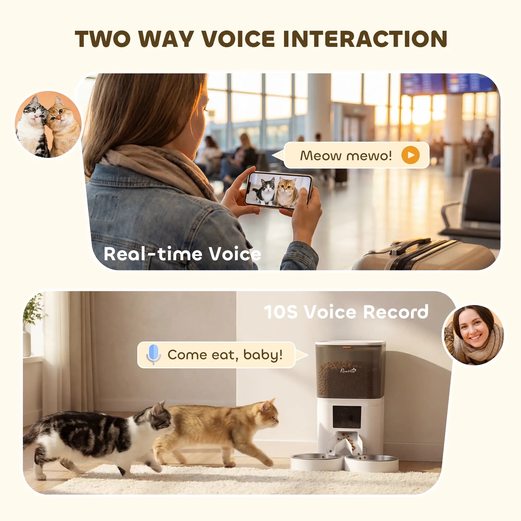 Automatic Cat Feeder, App Control, Smart Food Dispenser, 10s Voice Recorder, 6L Dog Bowls at Gallery Canada