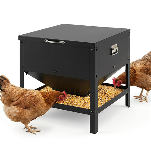 Large Capacity Chicken Feeding Box with Openable Lid, Black