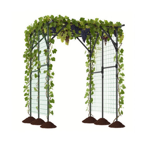 Large Garden Arch Trellis for Climbing Plants Outdoor Grape Vine Support, Black