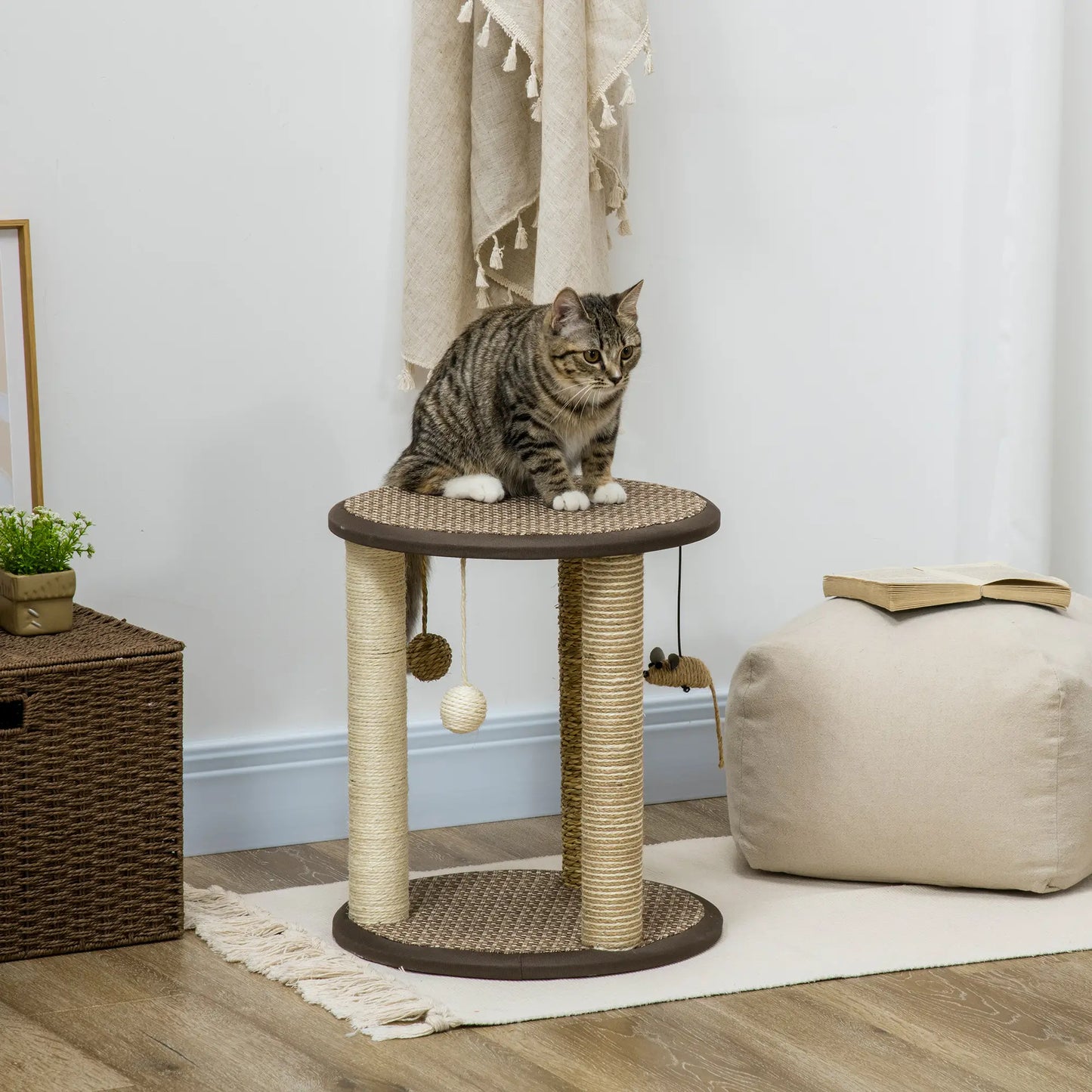 17 Cat Tree, Kitty Activity Centre, Hanging Toys, Scratching Post, Brown Cat Towers at Gallery Canada