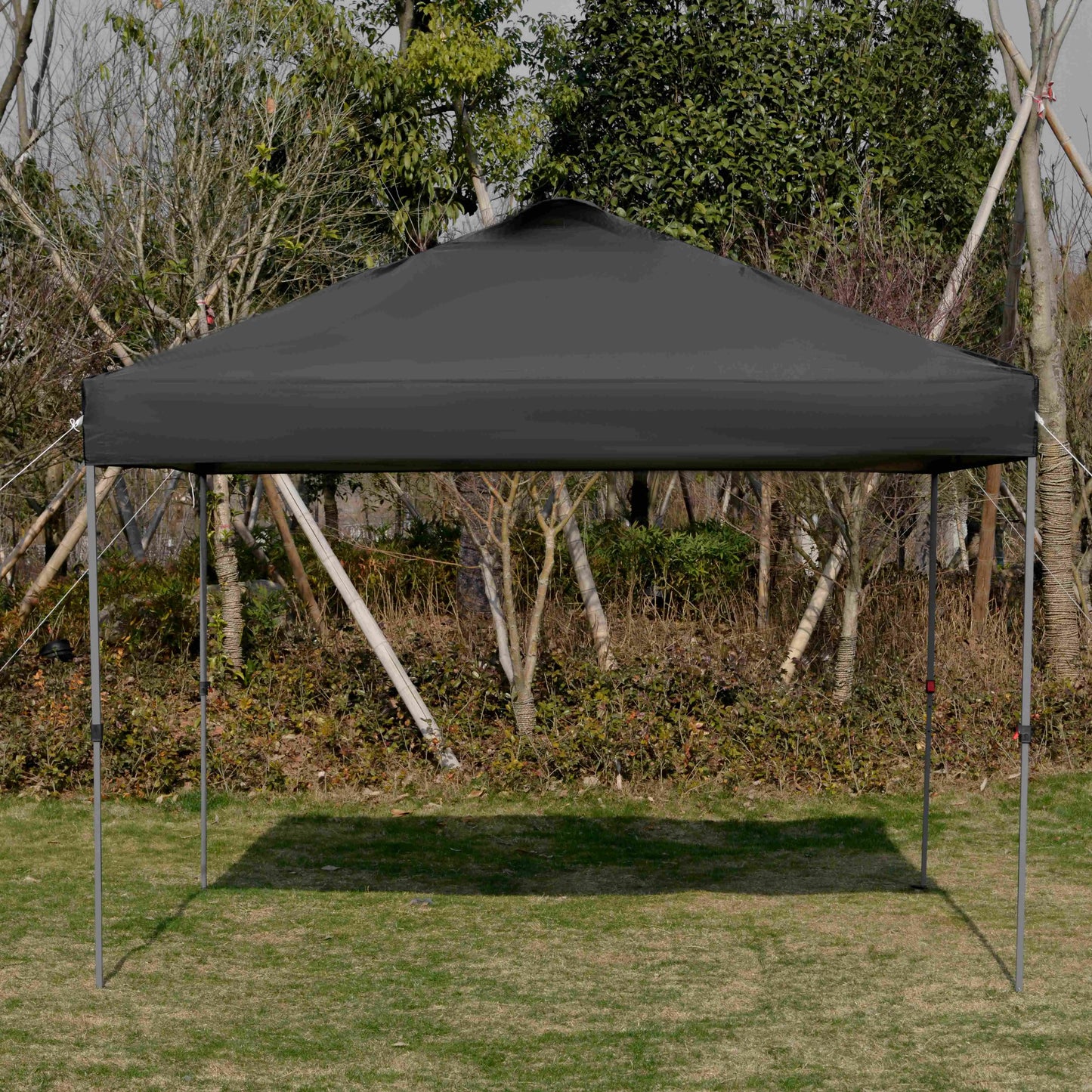 10' x 10' Pop Up Canopy Tent, Airy Top Vents, Wheeled Carry Bag, Black Pop Up Canopies at Gallery Canada