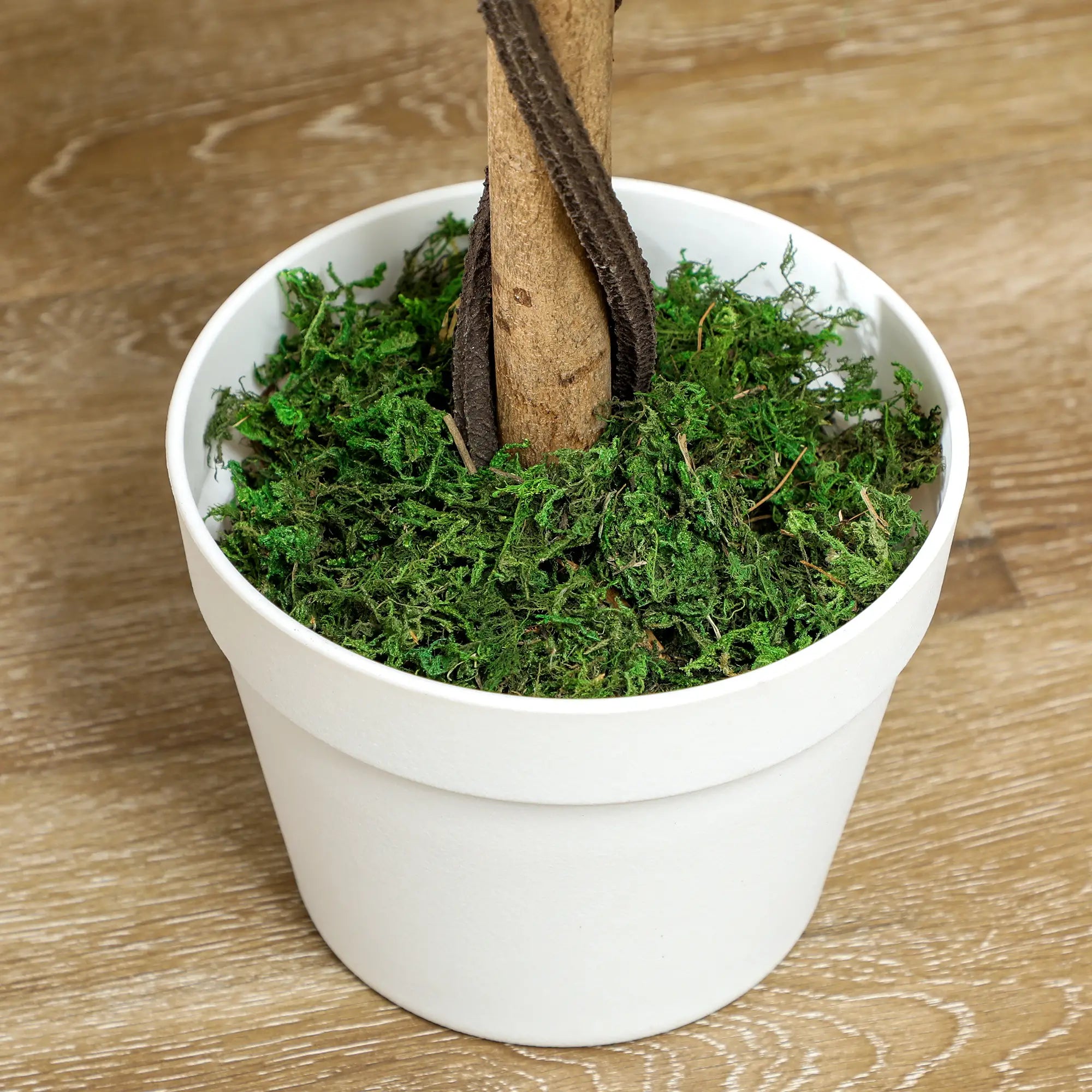 3FT White Rose Artificial Plant Set, Fake Plant For Home Decor, White Artificial Trees at Gallery Canada