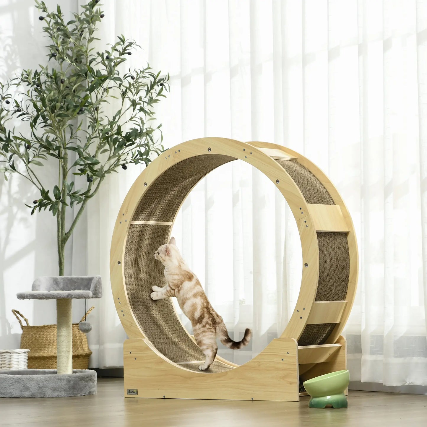 36" Cat Wheel, Indoor, Brake, Scratching Pads, Oak Cat Trees at Gallery Canada