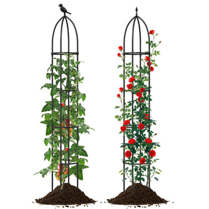 Metal Garden Arch And Obelisk Trellis Set For Climbing Plants Garden at Gallery Canada