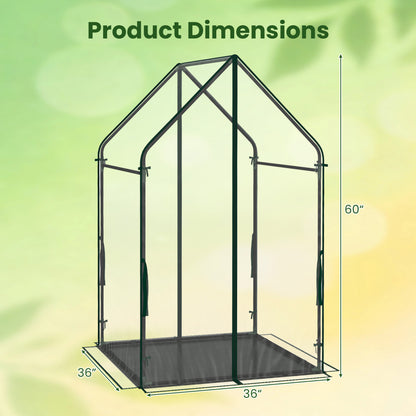 Mini House With Metal Frame, Transparent, L, Green Greenhouses at Gallery Canada