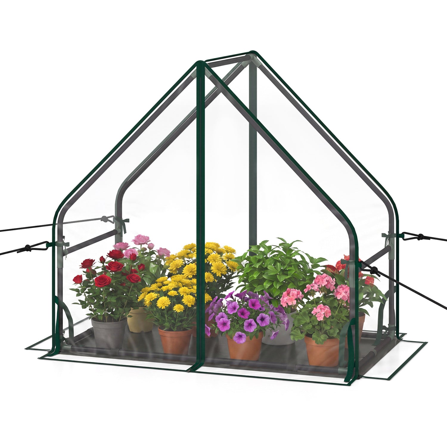 Mini House, Metal Frame, Transparent, Waterproof Bottom, Size S, Green Greenhouses Transparent at Gallery Canada