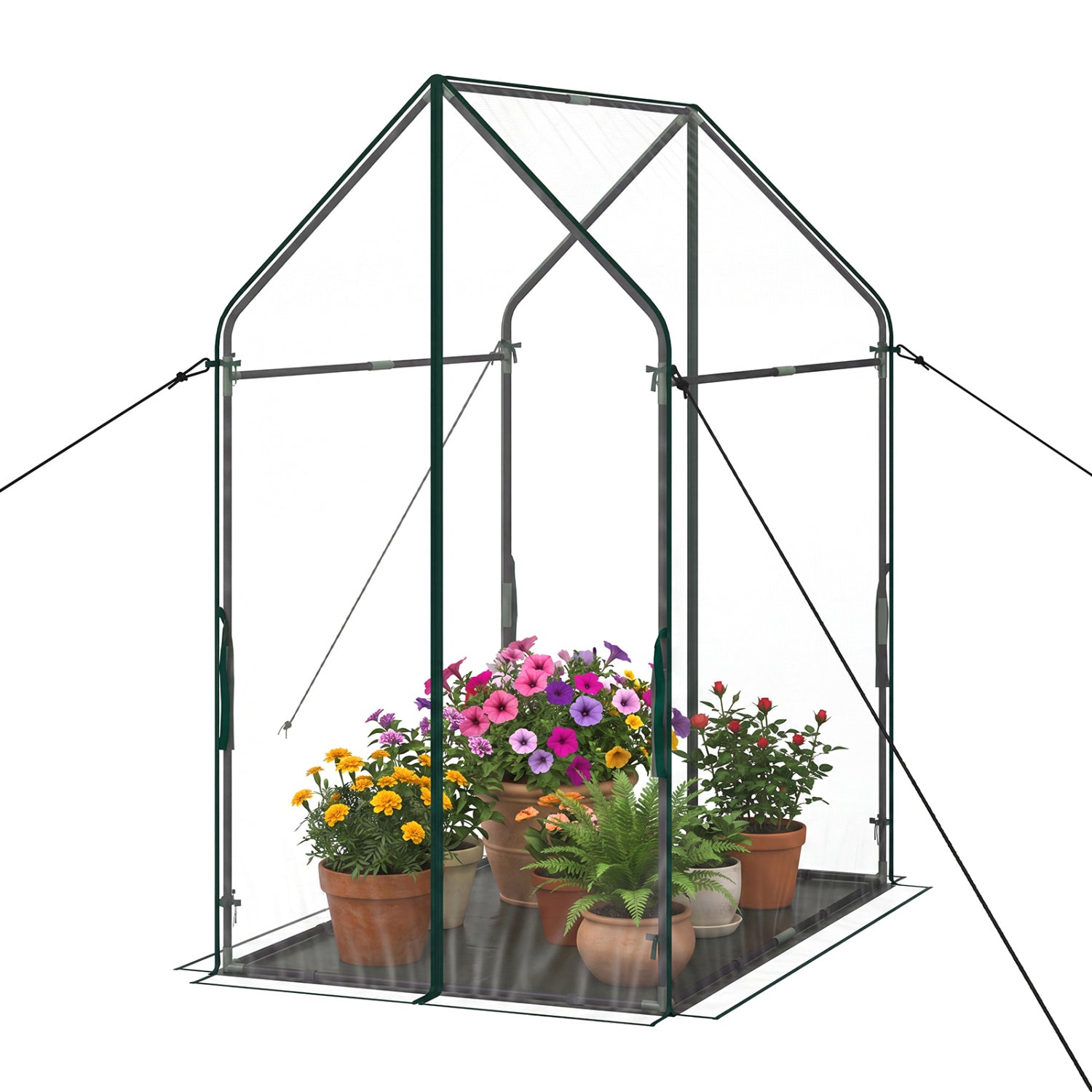Mini Green House Metal Frame with Waterproof Bottom Mat and Wind Ropes-XL, Transparent Greenhouses Transparent at Gallery Canada