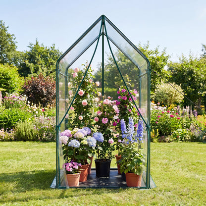 Mini Green House Metal Frame with Waterproof Bottom Mat and Wind Ropes-XL, Transparent Greenhouses at Gallery Canada