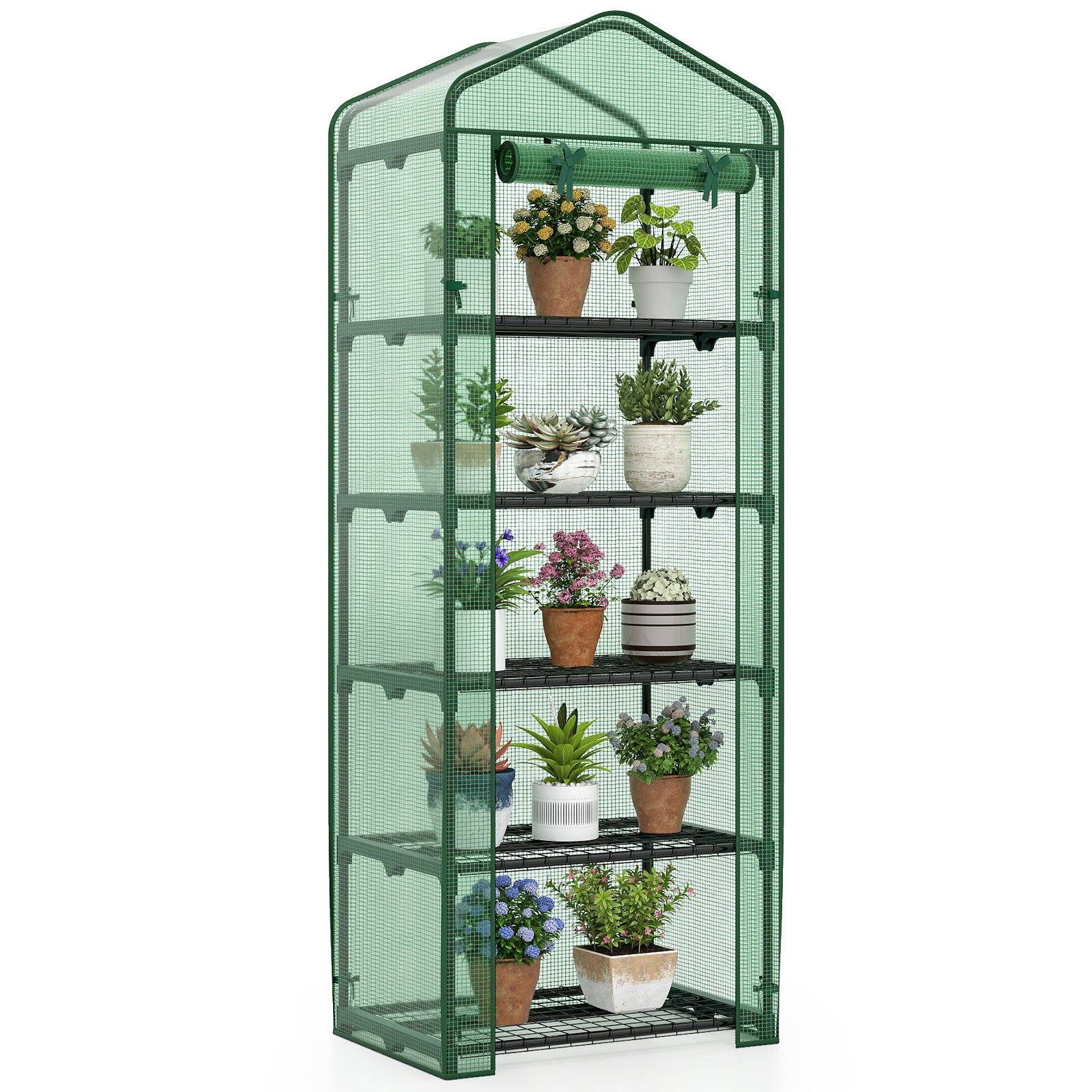 Mini Greenhouse Portable Plant Grow House with 5 Tier Shelves, Green Greenhouses at Gallery Canada