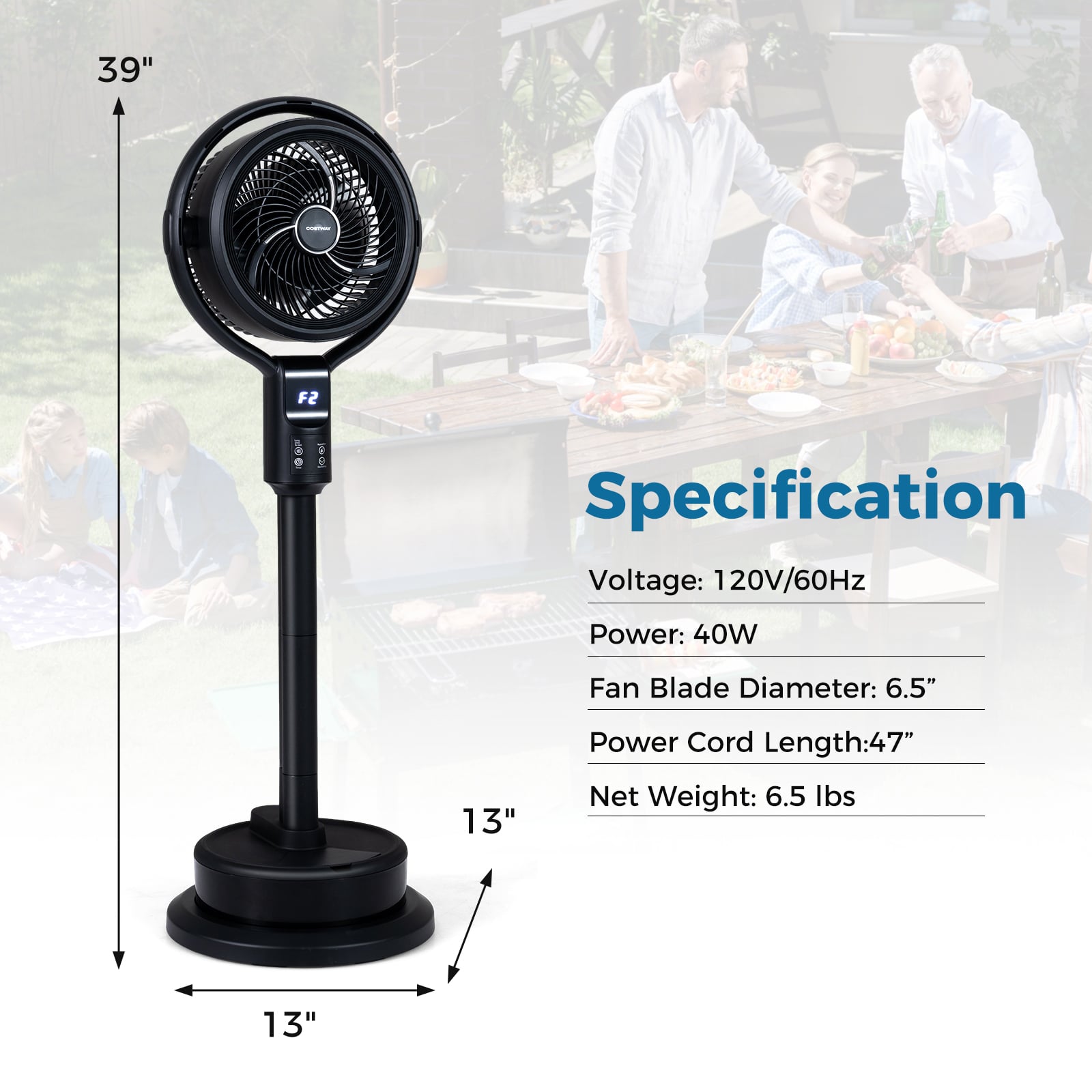 Misting Pedestal Fan, 8 Speeds, 90° Auto Oscillation, Black Fans at Gallery Canada