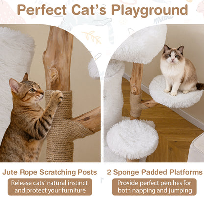 Modern Cat Tree for Indoor Cats 30.5 Cat Tower with Real Solid Wood Branches, White