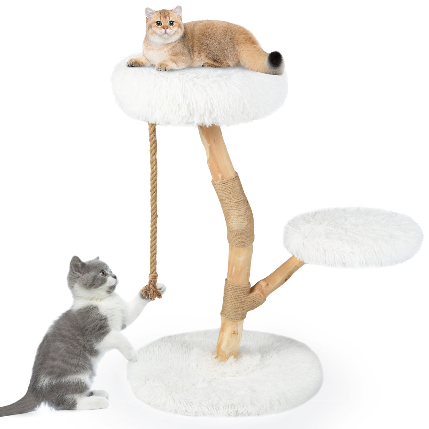 Tour en bois pour chat avec perchoir, poteaux à gratter en jute, blanc
