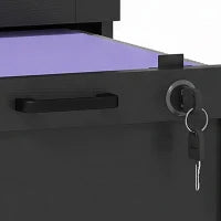 Vertical Filing Cabinet, 2 Drawers, Lock, A4 Letter, Black