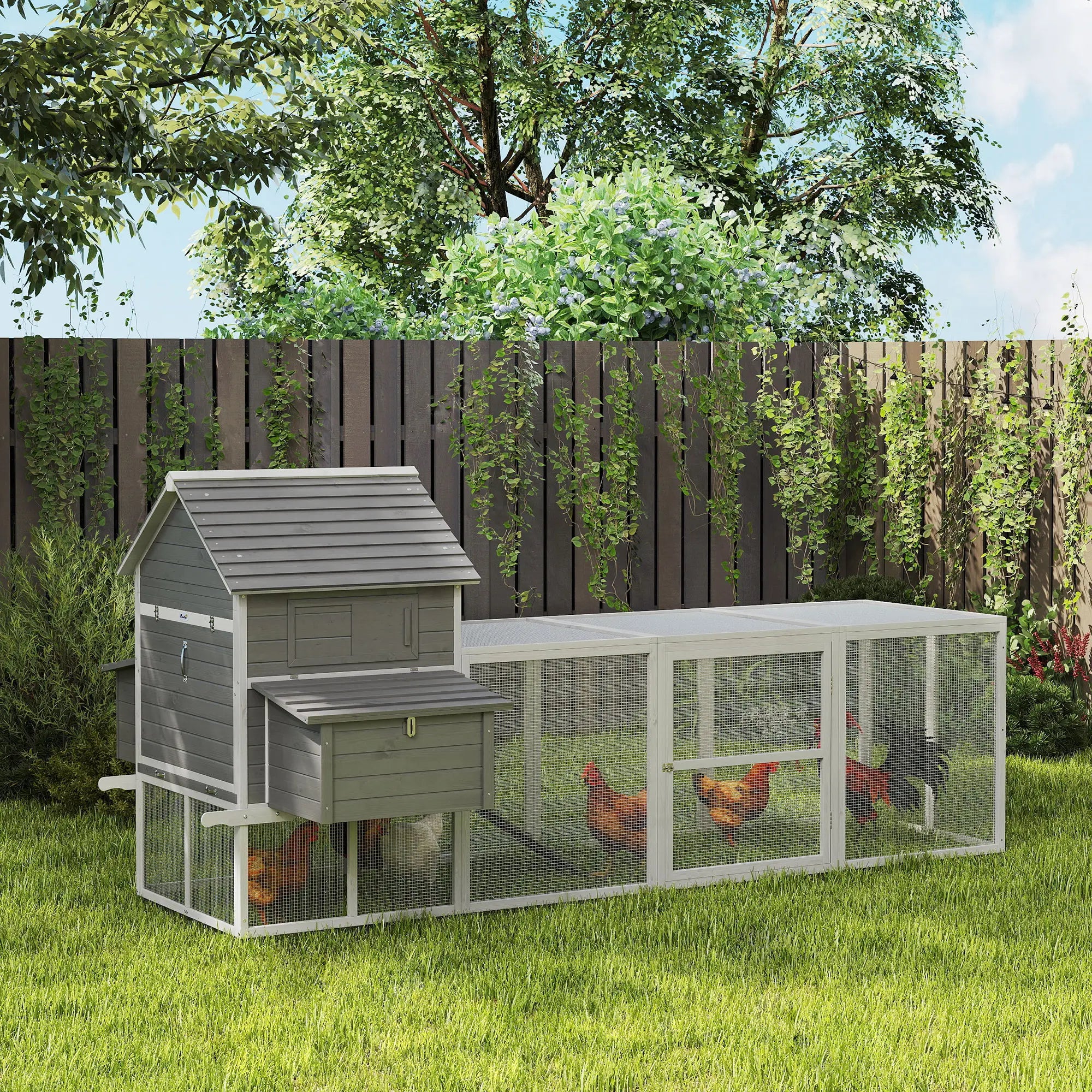 Wooden Chicken Coop, Nesting Boxes, Run, Doors, Tray, Ramp, 4-6 Chickens Chicken Coops at Gallery Canada