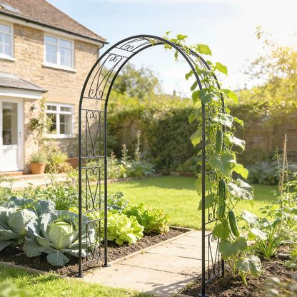 8 ft Garden Arch, Outdoor Trellis Arbor, Black Garden Arches at Gallery Canada