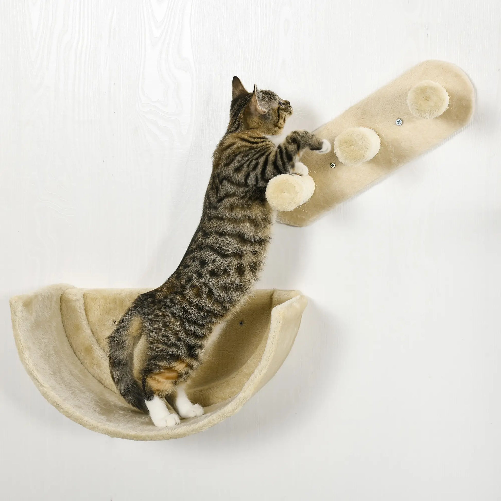 Cat Wall Shelves, 3PCs with Hammock, Scratching Post, Beige Cat Climbing Wall at Gallery Canada