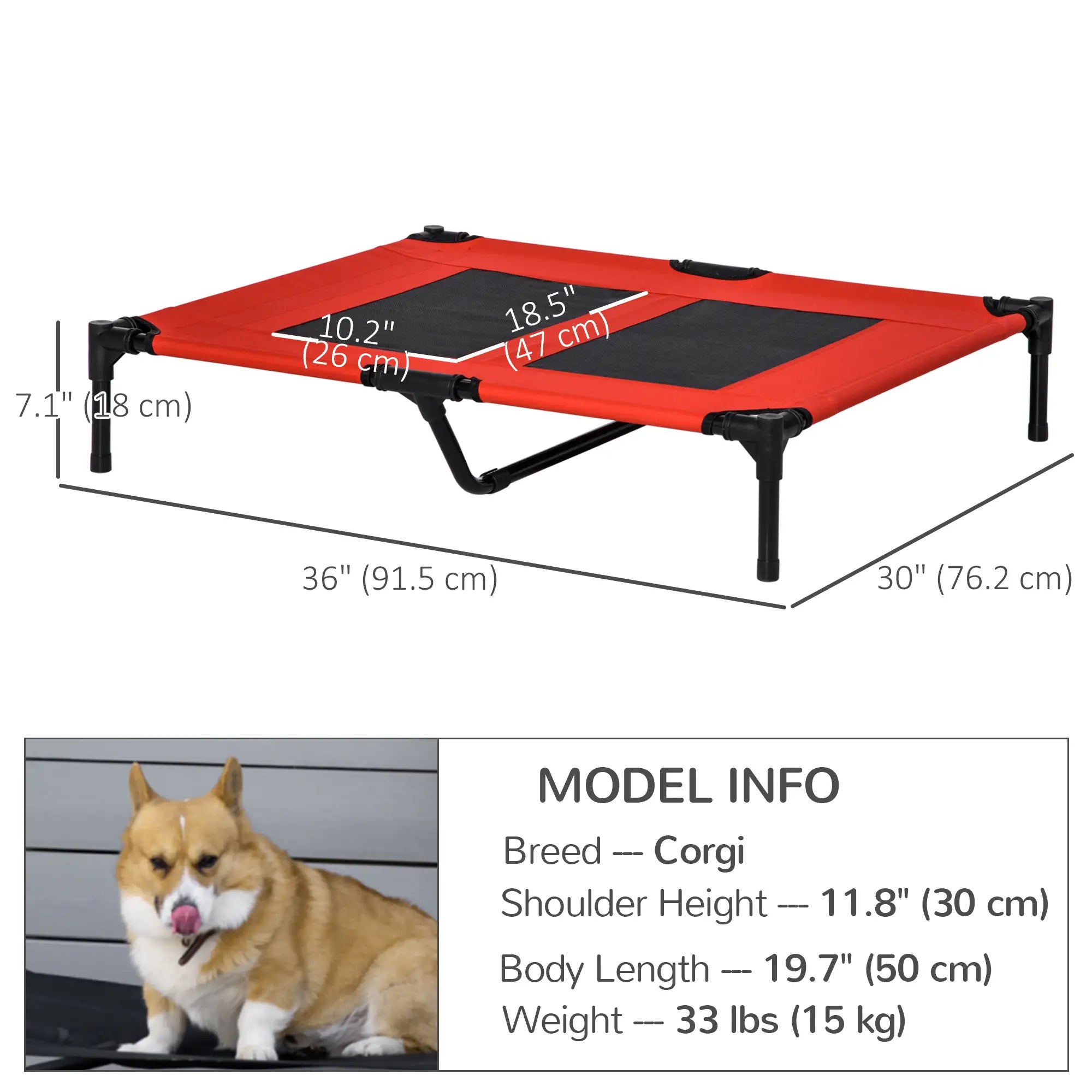 Elevated Dog Bed, Raised Cot for XL Dogs, 36