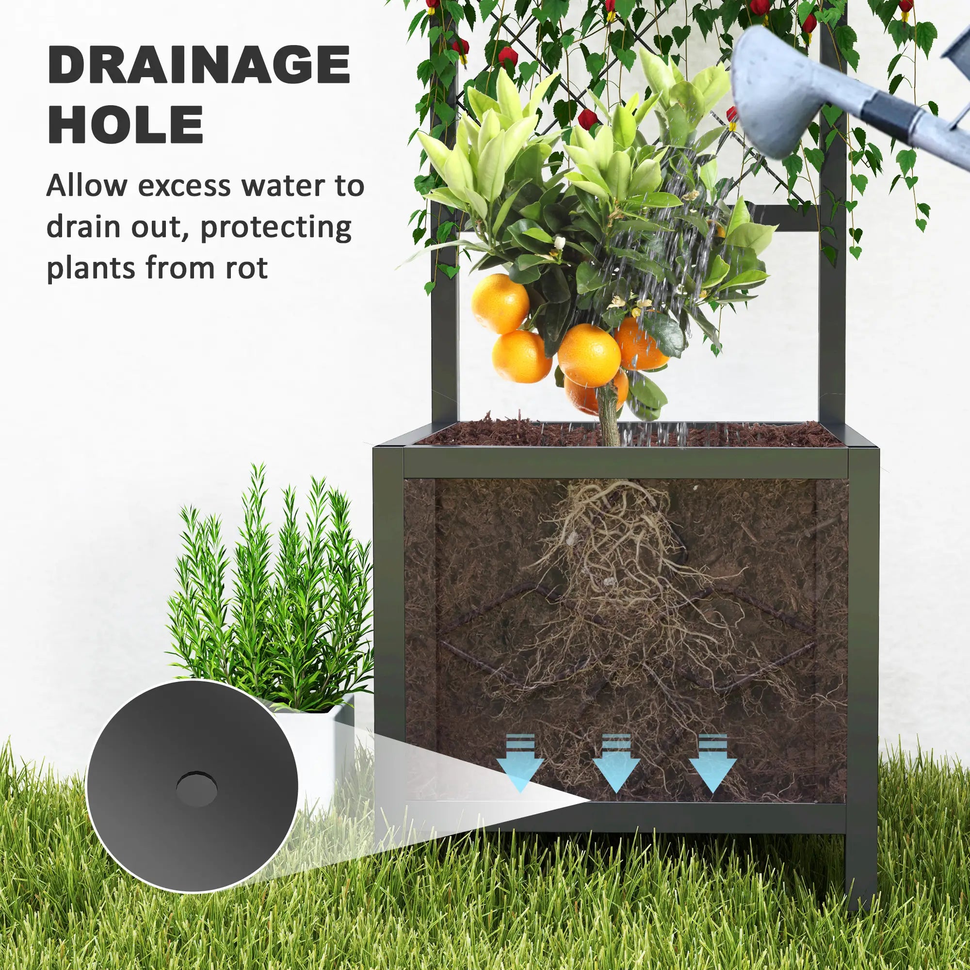 Galvanized Raised Garden Bed, Metal Planter Box with Trellis, Drainage Holes Raised Garden Beds at Gallery Canada