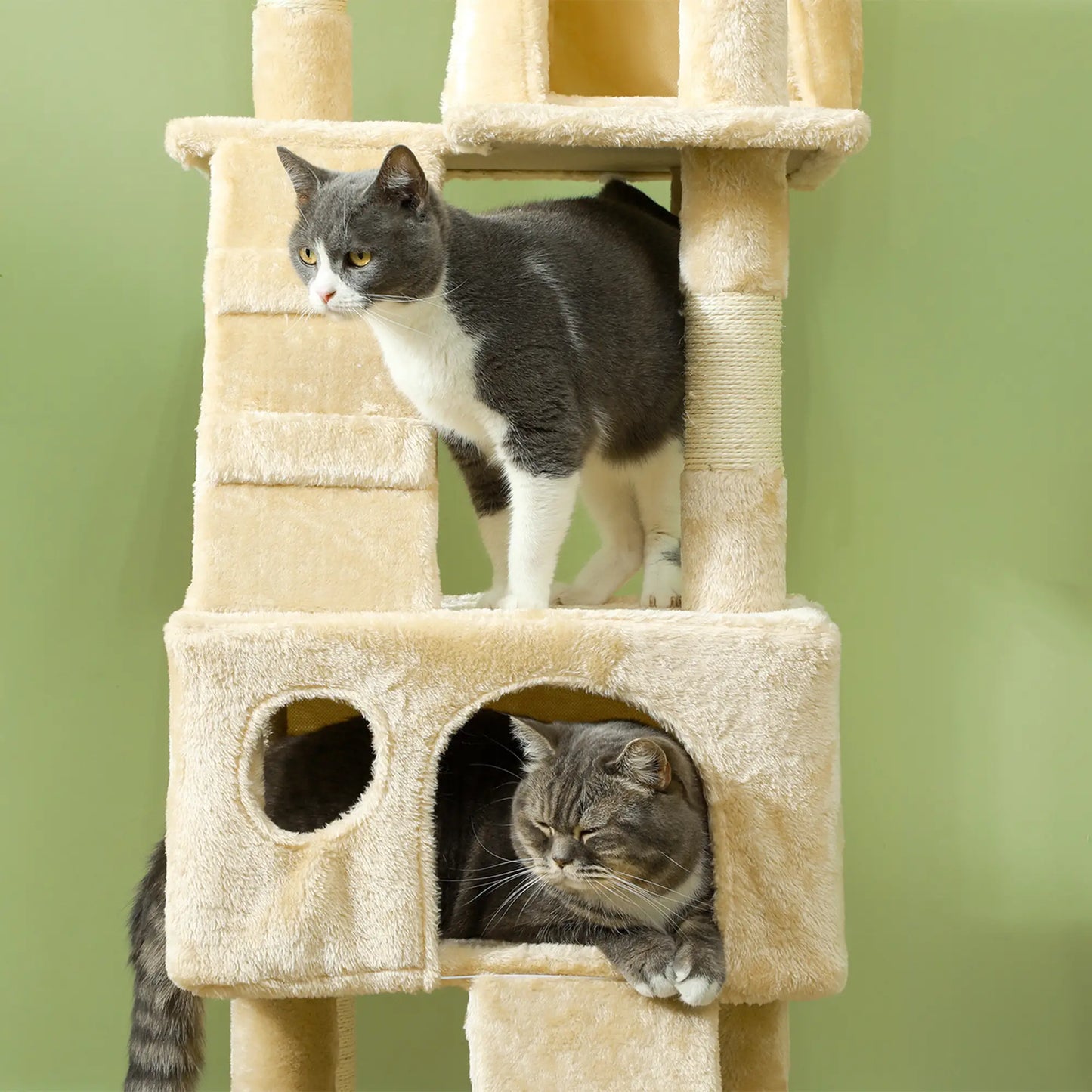 68-Inch Multi-Level Cat Scratching Tree, Activity Center, Beige Cat Towers at Gallery Canada